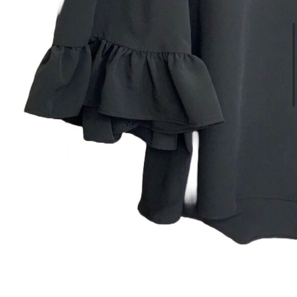 Catherine Malandrino Size XS Ruffle Bell Sleeve. B17 - Picture 3 of 5